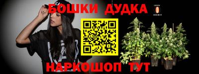 PSILOCYBIN Кинель