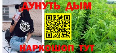 jwh Кингисепп