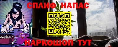 PSILOCYBIN Кинель