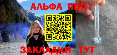 jwh Кингисепп