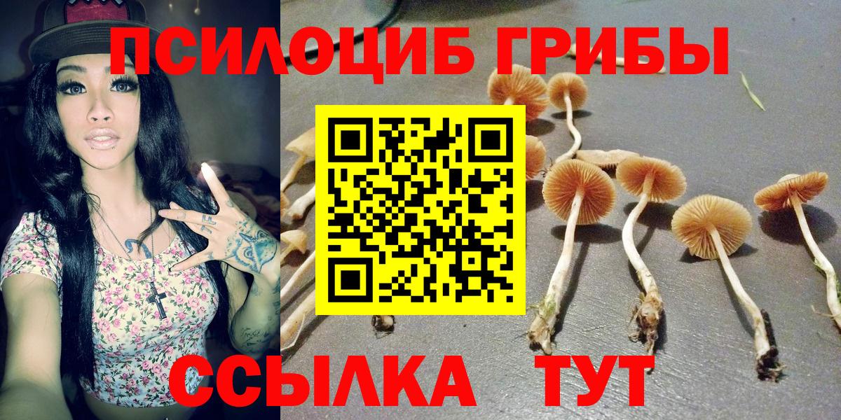 Галлюциногенные грибы мухоморы  Вход с VPN  Коммунар  Галлюциногенные грибы MAGIC MUSHROOMS 